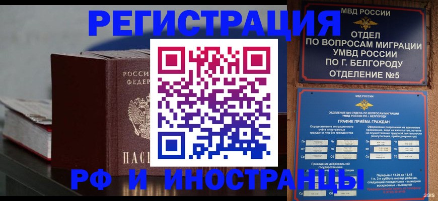 прописка 2025 в Порхове